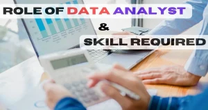 Data Analyst